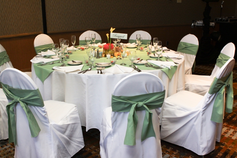 Custom Linens and Chair covers and Ties from Verve Events and Tents